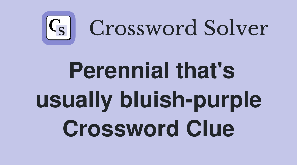 Perennial that's usually bluish-purple Crossword Clue