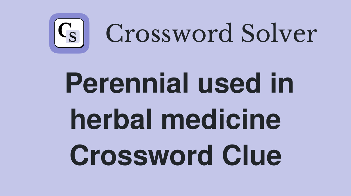 Perennial used in herbal medicine Crossword Clue
