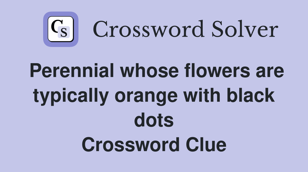 Perennial whose flowers are typically orange with black dots Crossword Clue