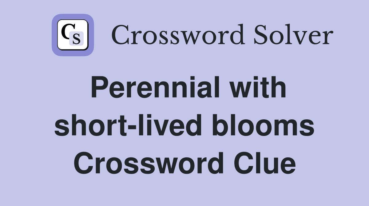Perennial with short-lived blooms Crossword Clue
