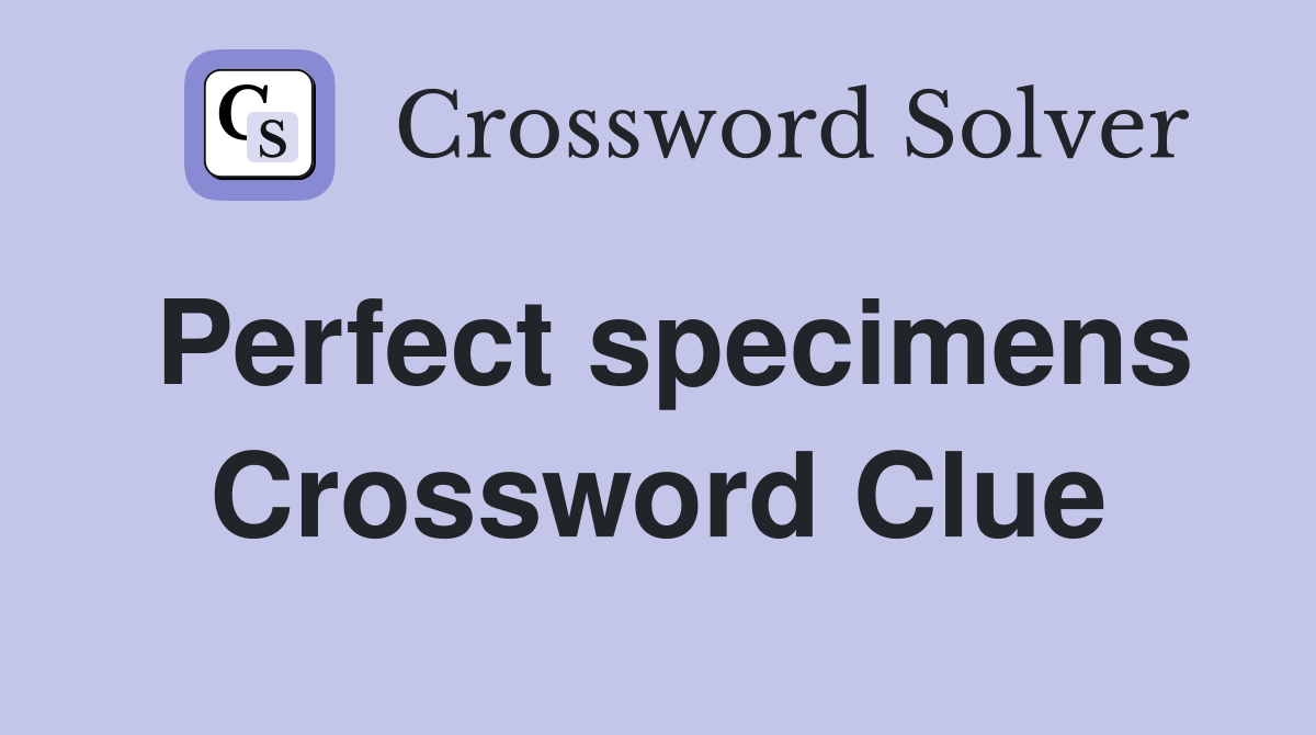 Perfect specimens Crossword Clue