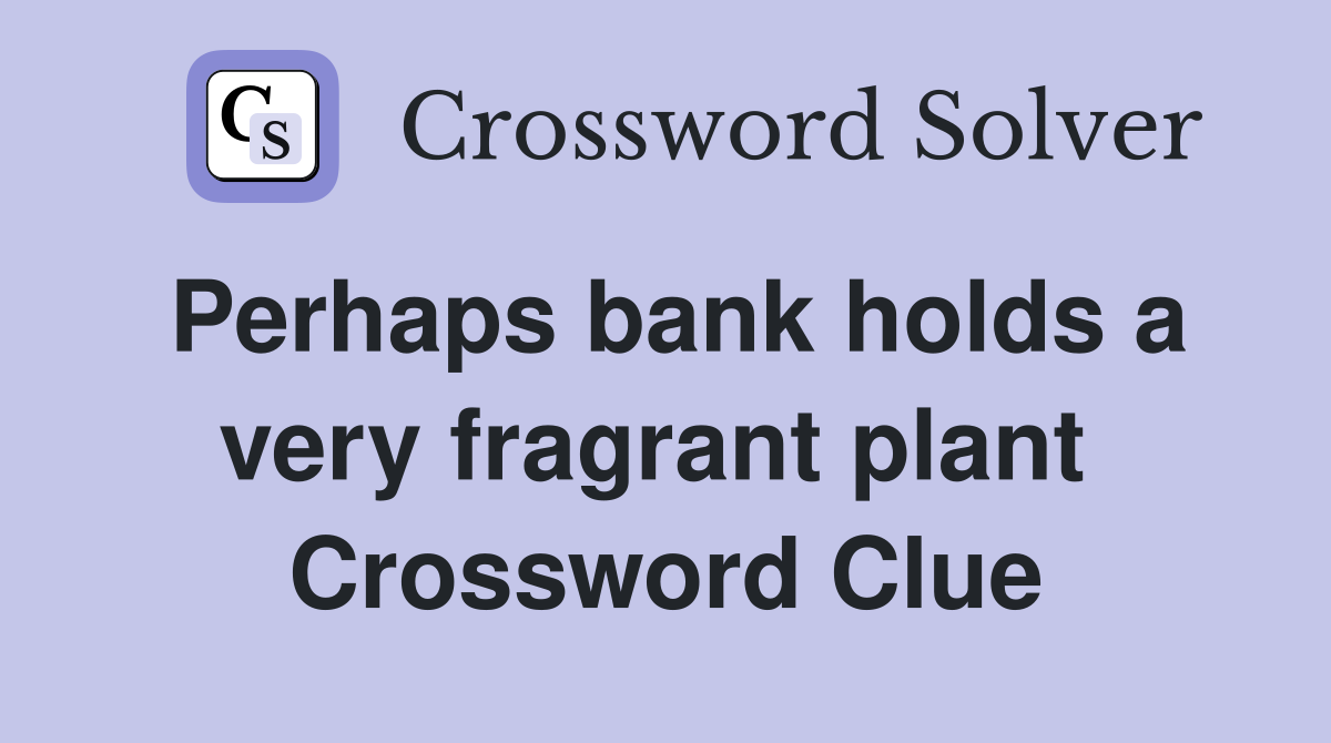 Perhaps bank holds a very fragrant plant  Crossword Clue