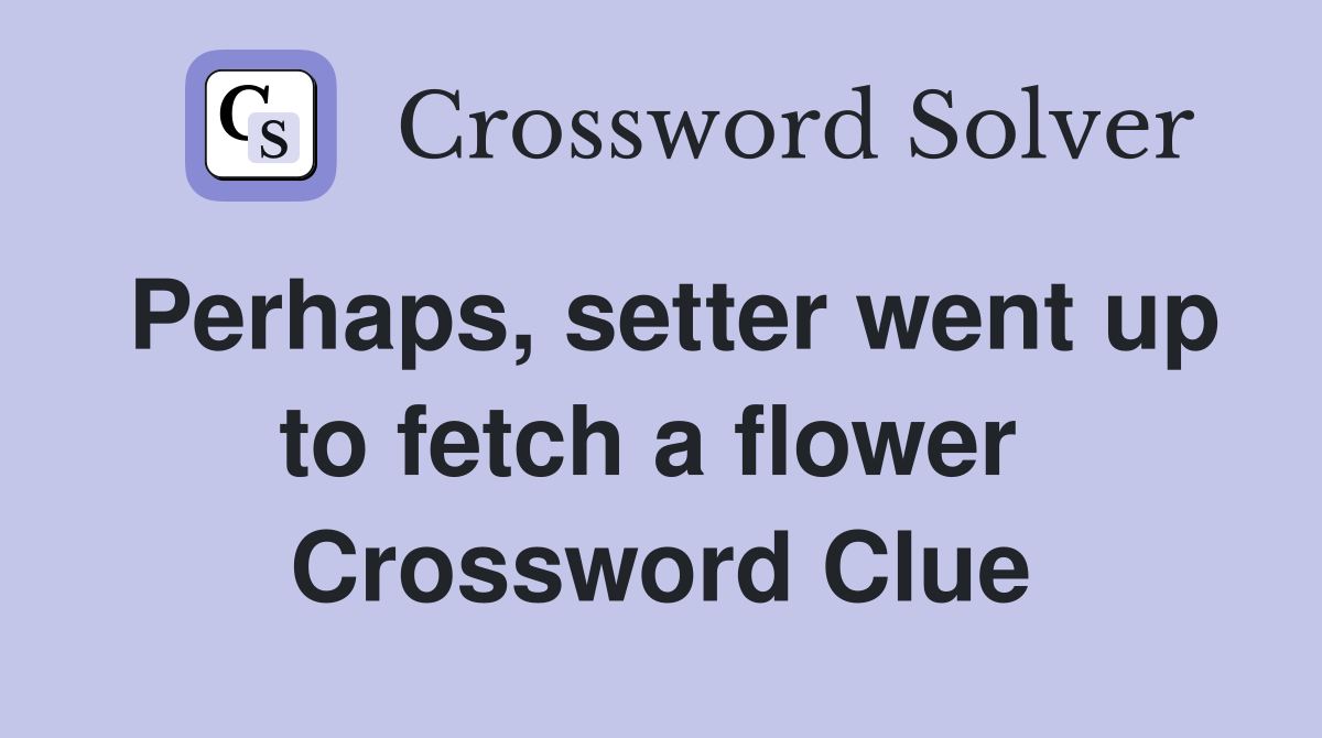Perhaps, setter went up to fetch a flower  Crossword Clue