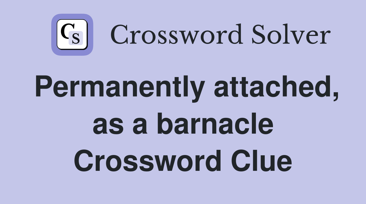 Permanently attached, as a barnacle Crossword Clue