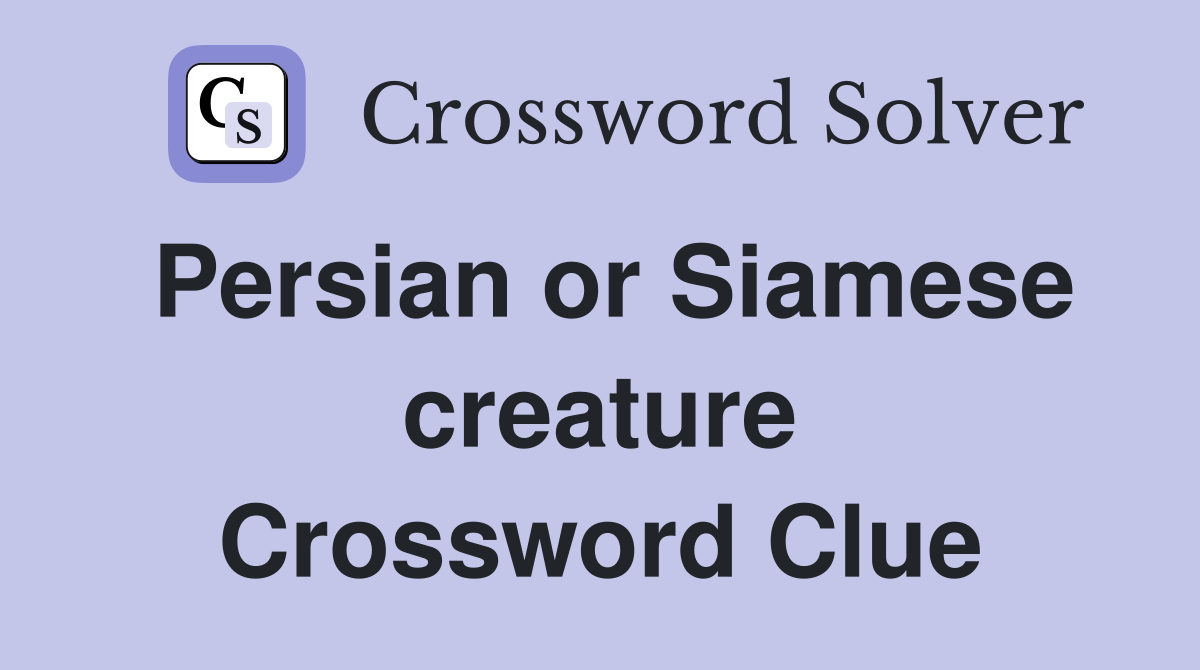 Persian or Siamese creature Crossword Clue