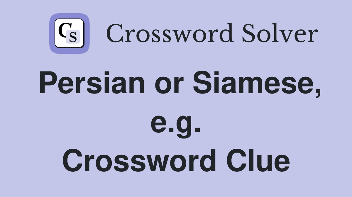 Persian or Siamese, e.g. Crossword Clue