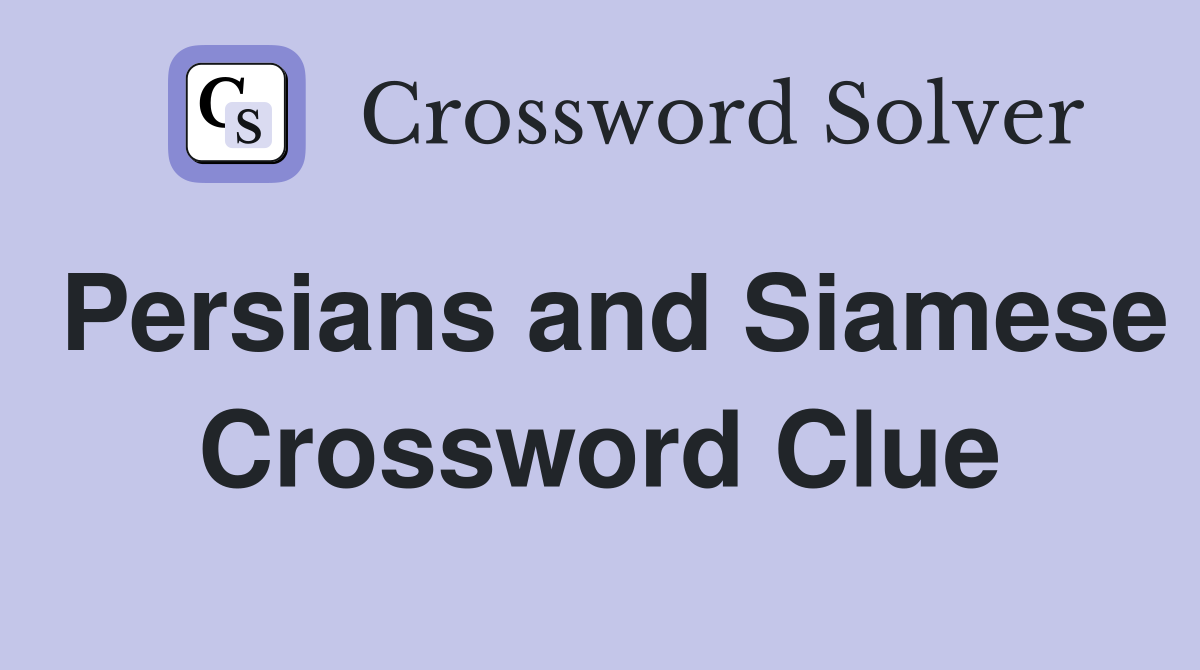 Persians and Siamese Crossword Clue