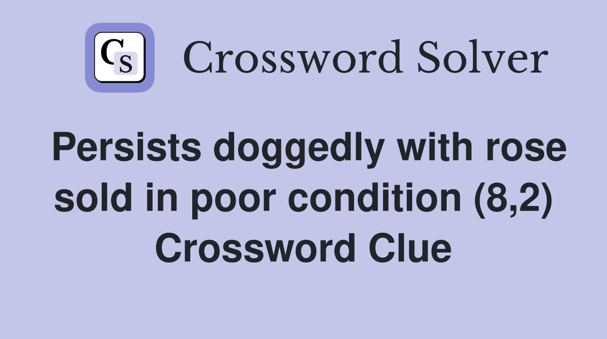 Persists doggedly with rose sold in poor condition (8,2) Crossword Clue