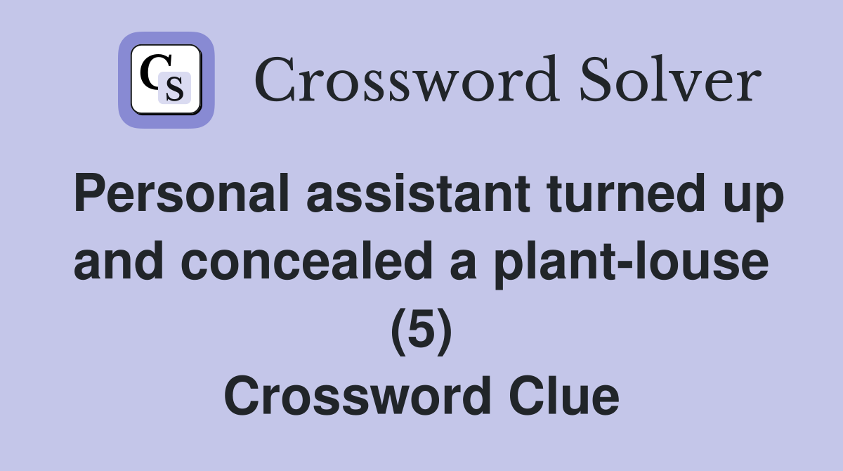 Personal assistant turned up and concealed a plant-louse (5) Crossword Clue