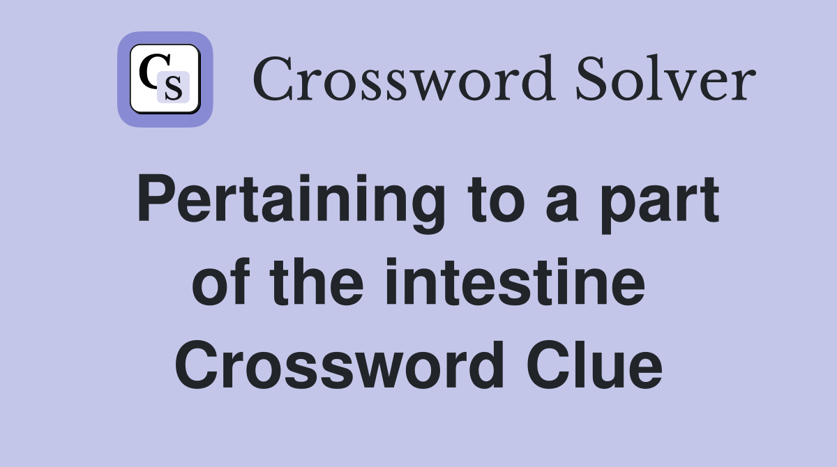 Pertaining to a part of the intestine Crossword Clue