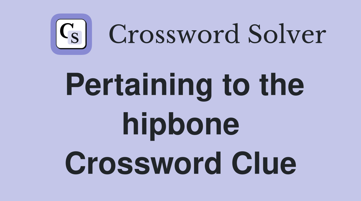Pertaining to the hipbone Crossword Clue