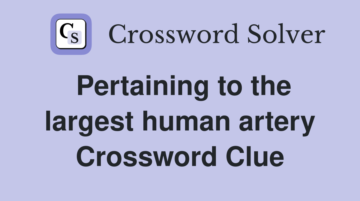 Pertaining to the largest human artery Crossword Clue
