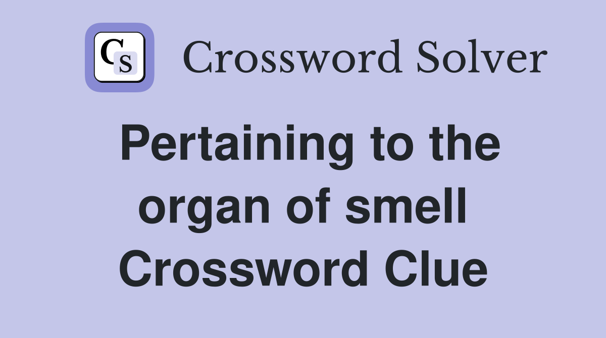 Pertaining to the organ of smell Crossword Clue