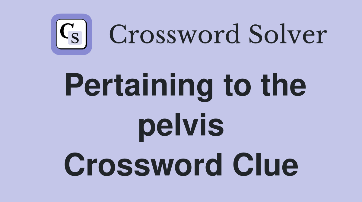 Pertaining to the pelvis Crossword Clue