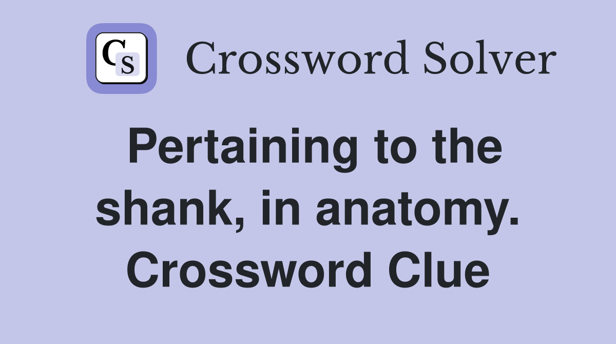 Pertaining to the shank, in anatomy. Crossword Clue