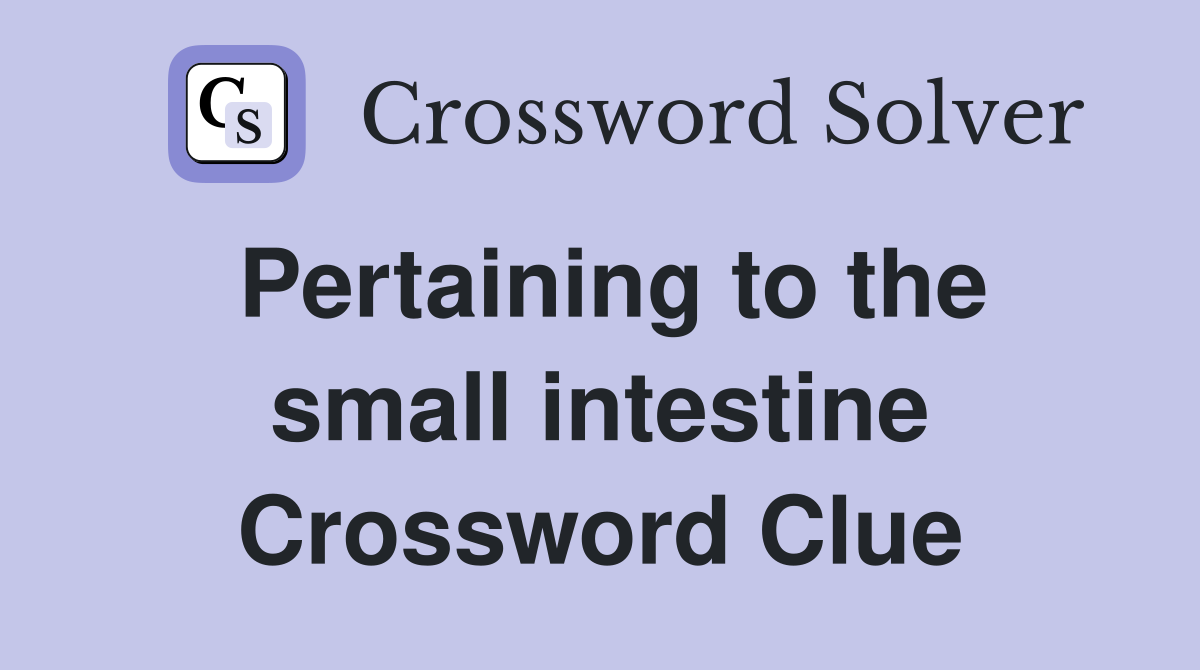 Pertaining to the small intestine Crossword Clue