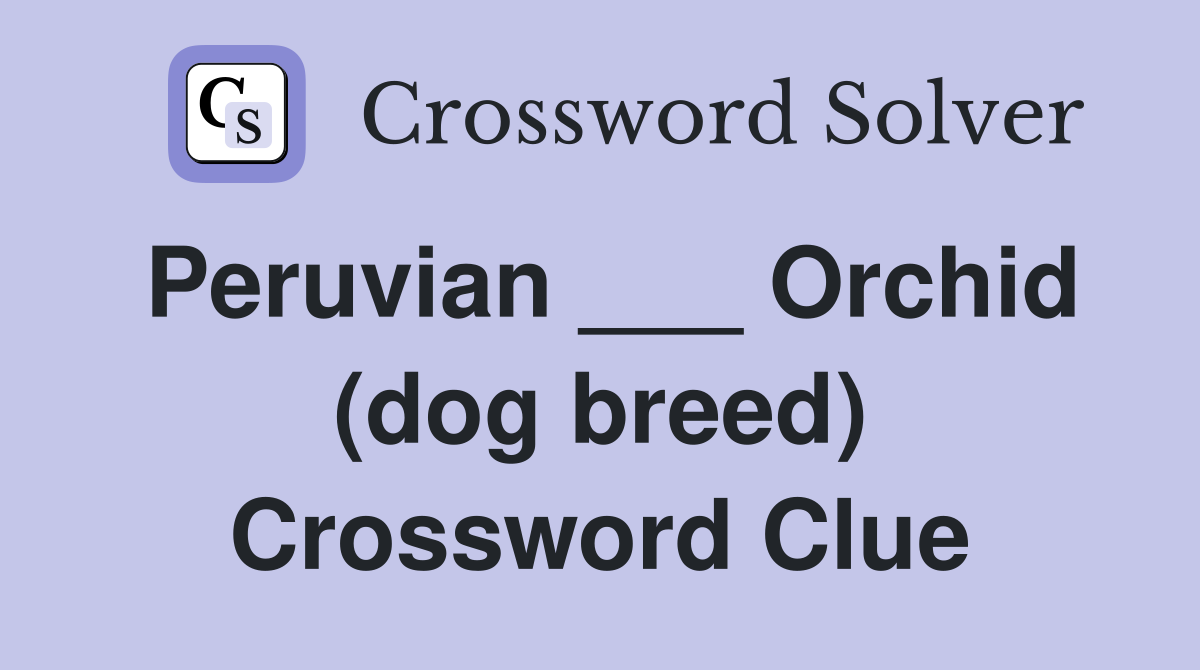 Peruvian ___ Orchid (dog breed) Crossword Clue