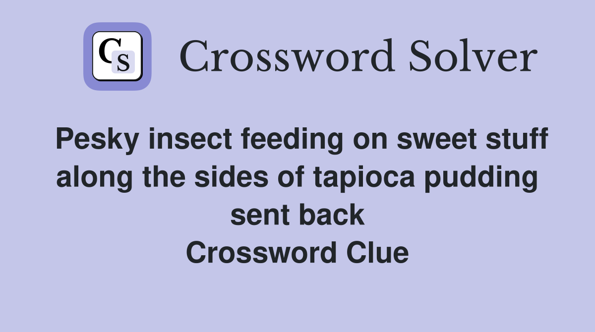 Pesky insect feeding on sweet stuff along the sides of tapioca pudding sent back Crossword Clue