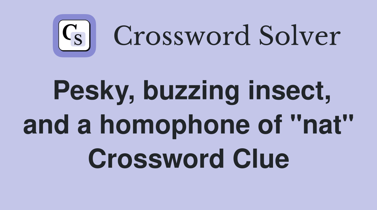 Pesky, buzzing insect, and a homophone of "nat" Crossword Clue