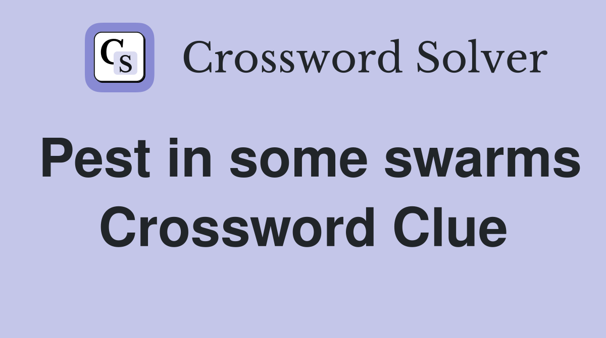 Pest in some swarms Crossword Clue
