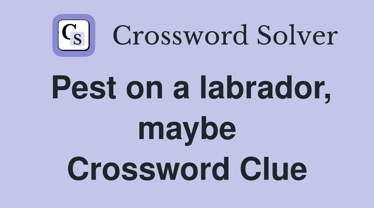 Pest on a labrador, maybe Crossword Clue