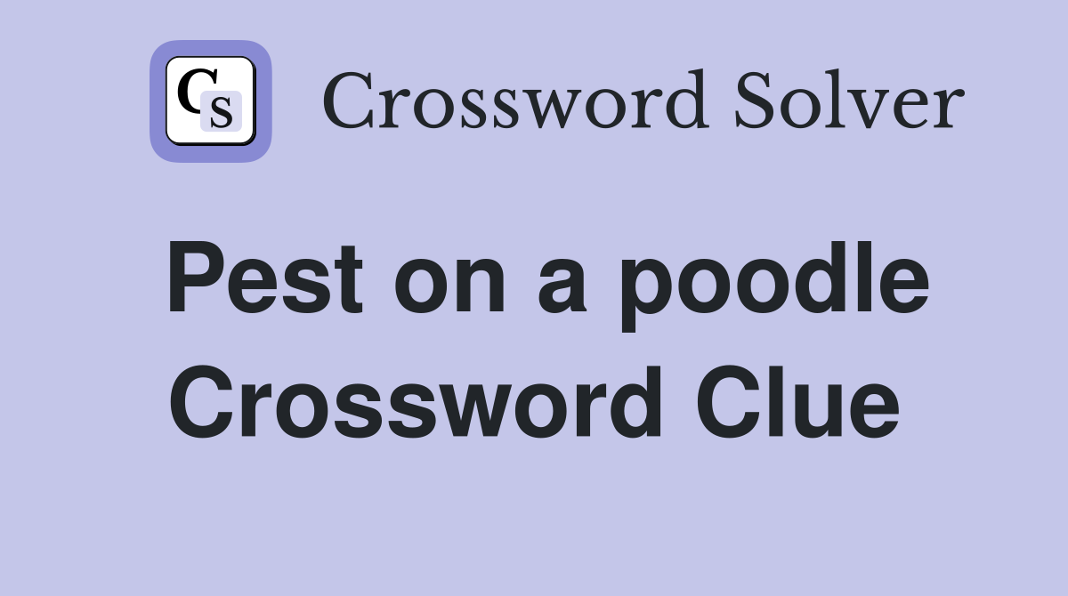 Pest on a poodle Crossword Clue