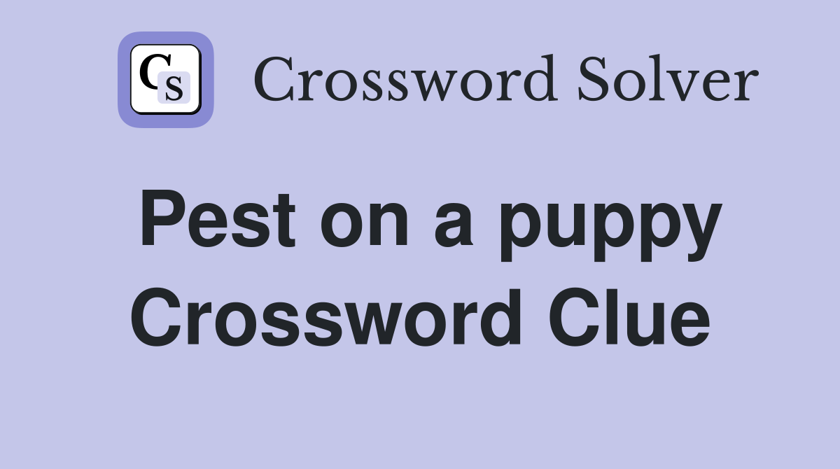 Pest on a puppy Crossword Clue