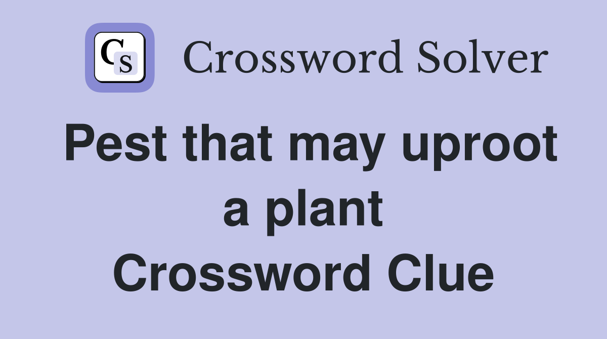 Pest that may uproot a plant Crossword Clue