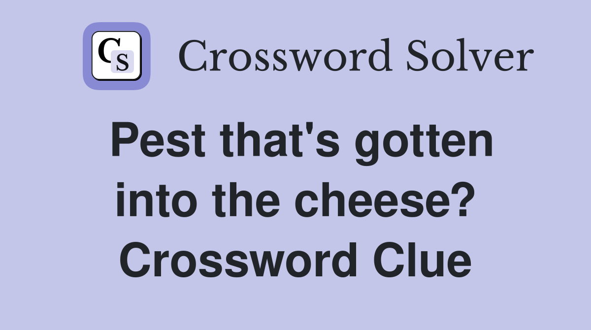 Pest that's gotten into the cheese? Crossword Clue