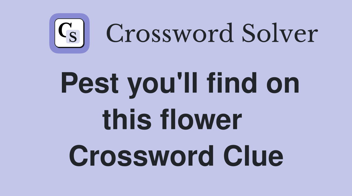 Pest you'll find on this flower  Crossword Clue