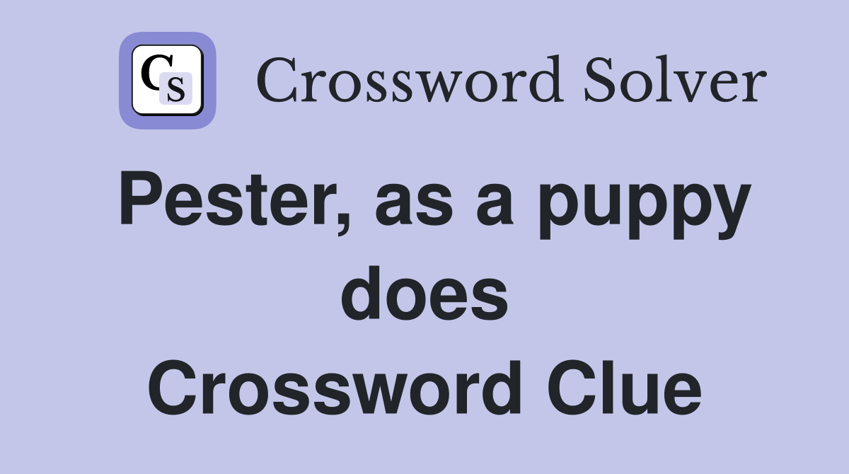 Pester, as a puppy does Crossword Clue