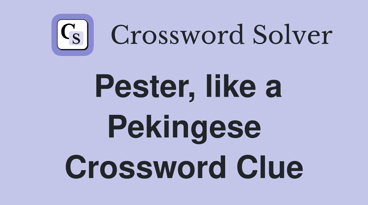 Pester, like a Pekingese Crossword Clue