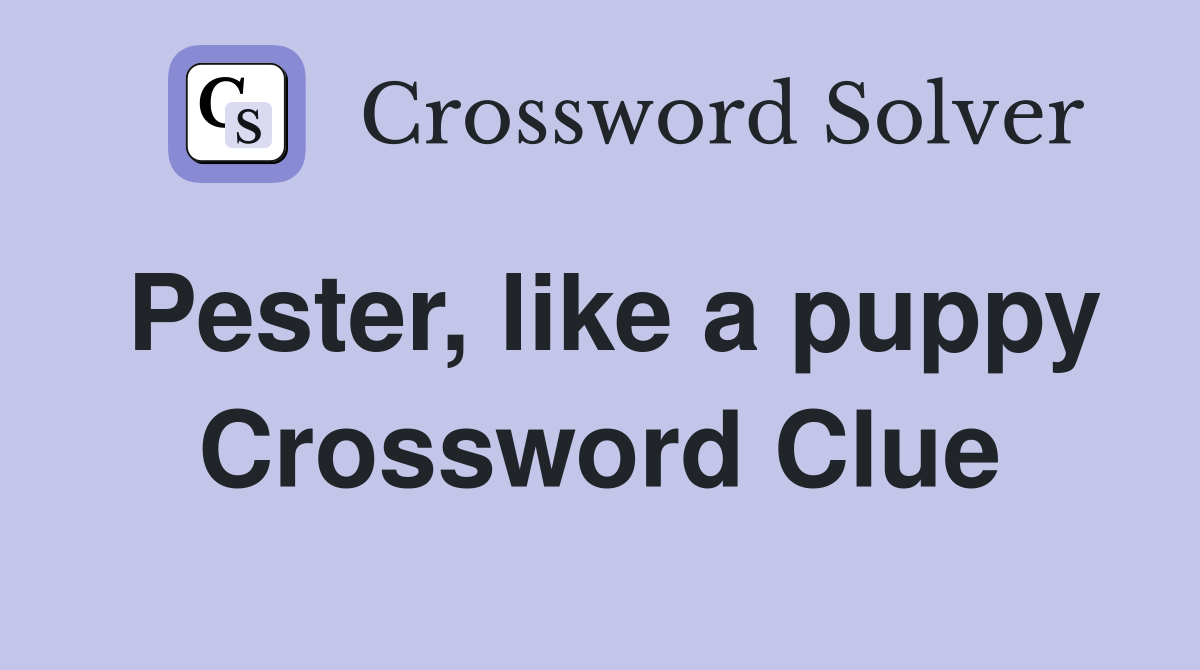 Pester, like a puppy Crossword Clue