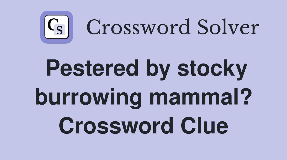 Pestered by stocky burrowing mammal? Crossword Clue
