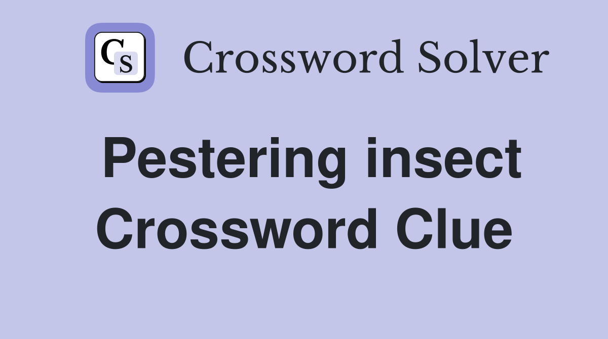 Pestering insect Crossword Clue