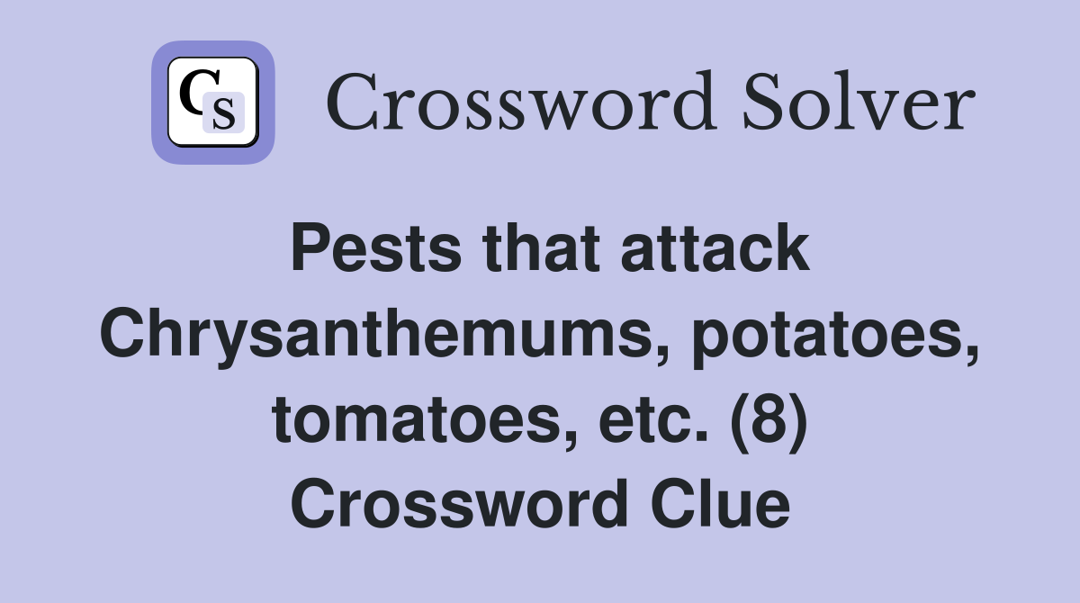Pests that attack Chrysanthemums, potatoes, tomatoes, etc. (8) Crossword Clue