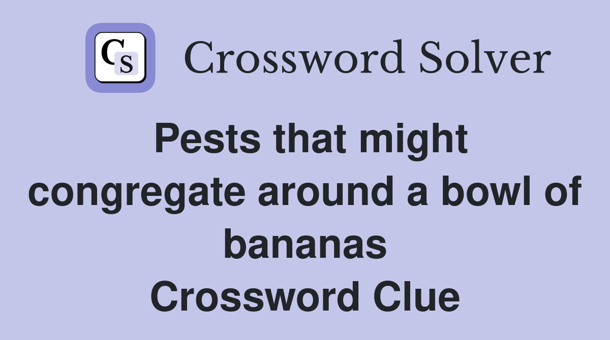 Pests that might congregate around a bowl of bananas Crossword Clue