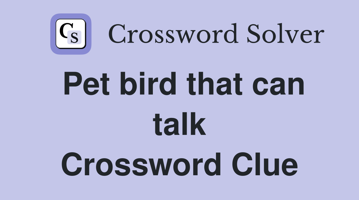 Pet bird that can talk Crossword Clue