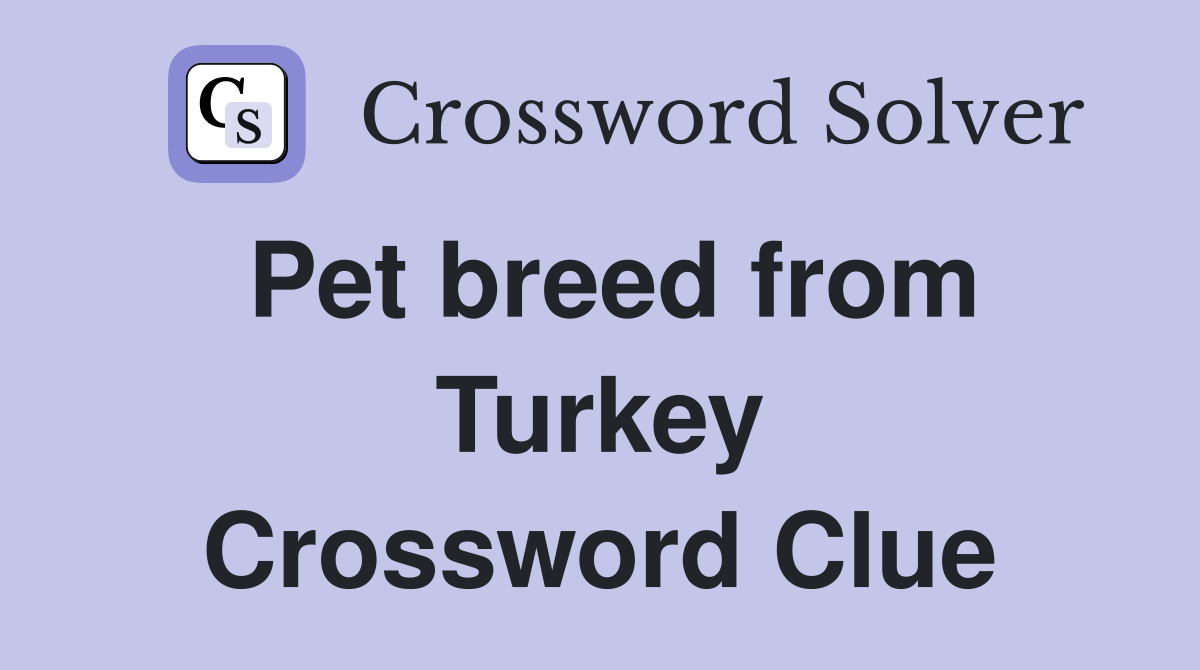 Pet breed from Turkey Crossword Clue