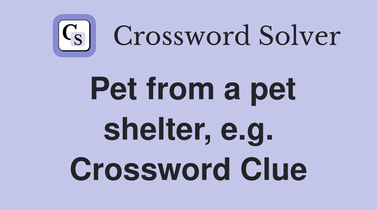 Pet from a pet shelter, e.g. Crossword Clue