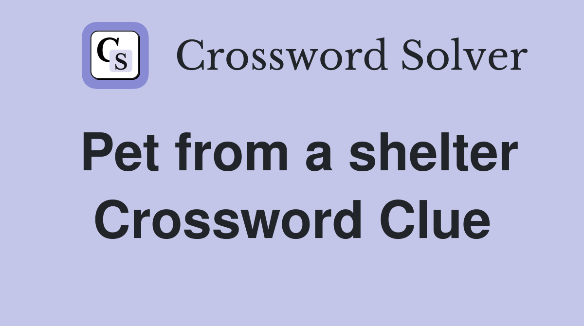 Pet from a shelter Crossword Clue