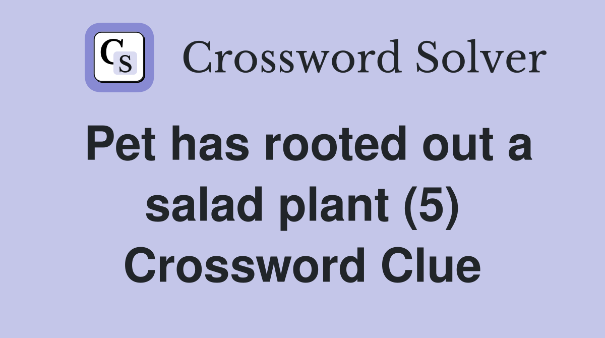 Pet has rooted out a salad plant (5) Crossword Clue