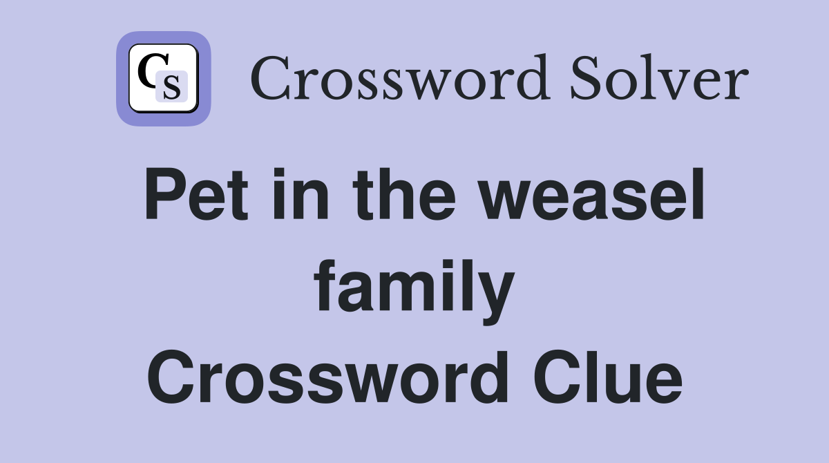 Pet in the weasel family Crossword Clue