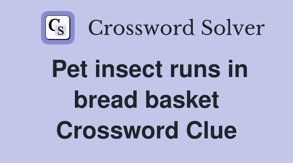 Pet insect runs in bread basket Crossword Clue