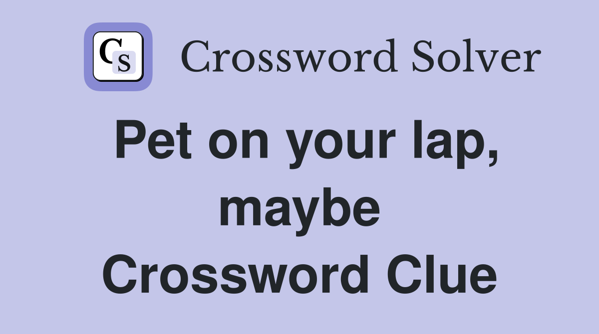 Pet on your lap, maybe Crossword Clue