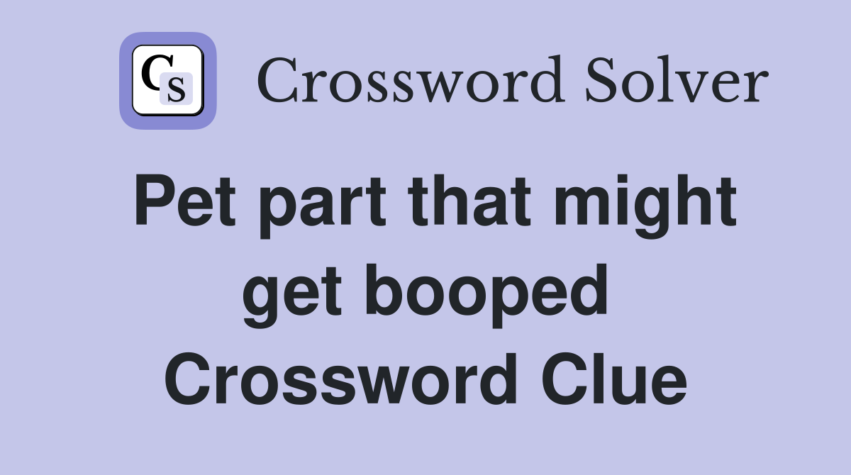 Pet part that might get booped Crossword Clue