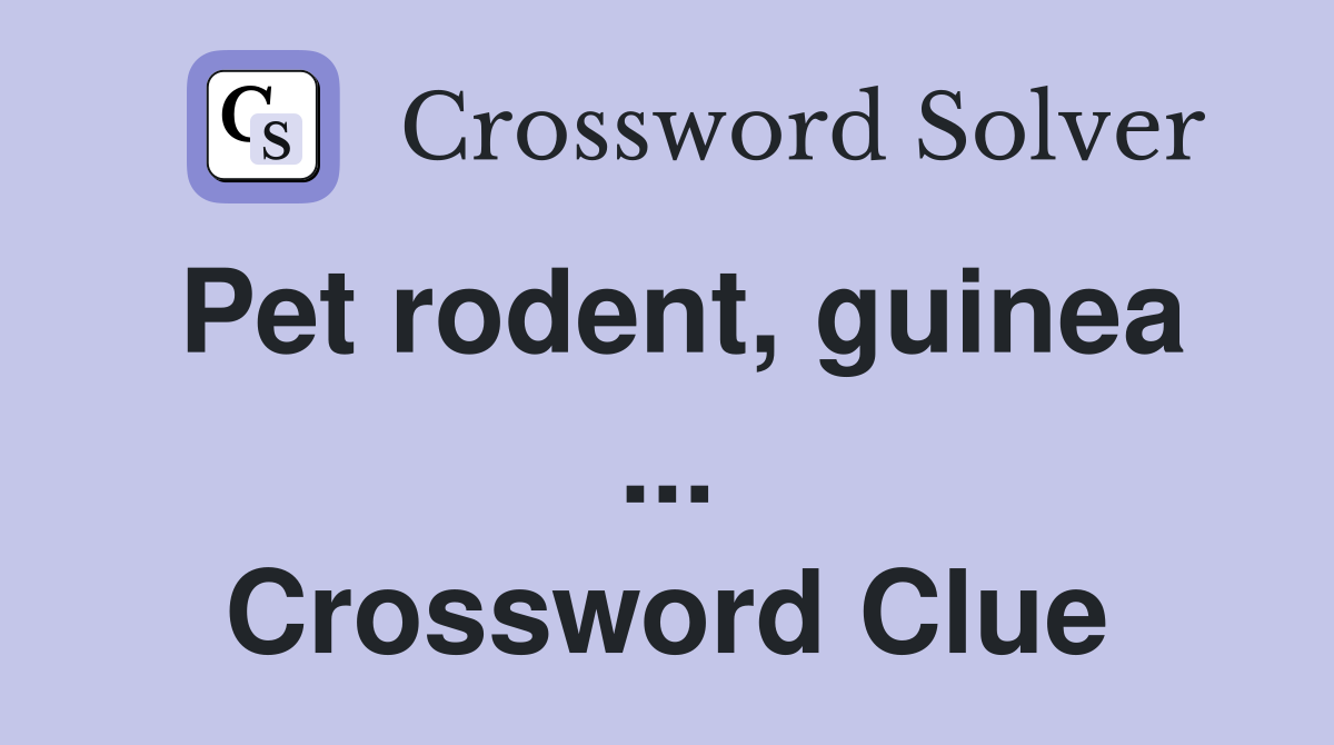 Pet rodent, guinea ... Crossword Clue
