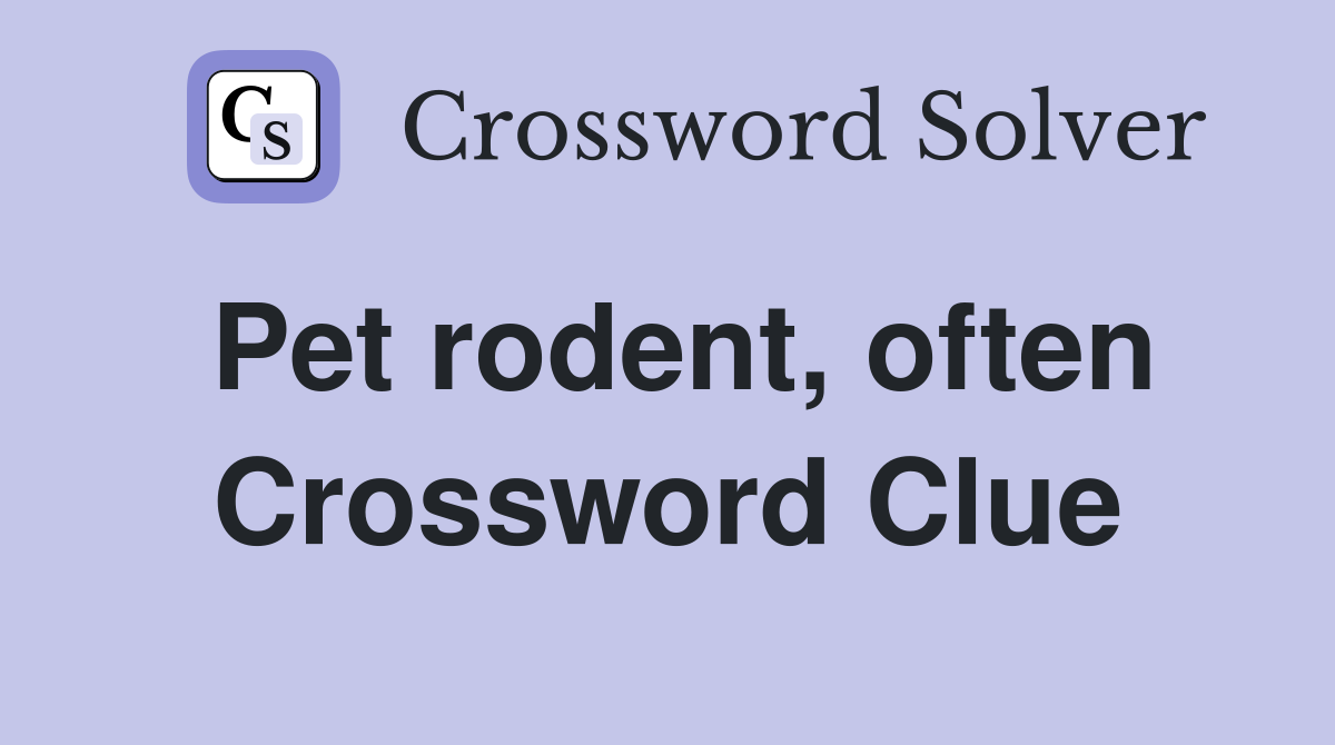 Pet rodent, often Crossword Clue