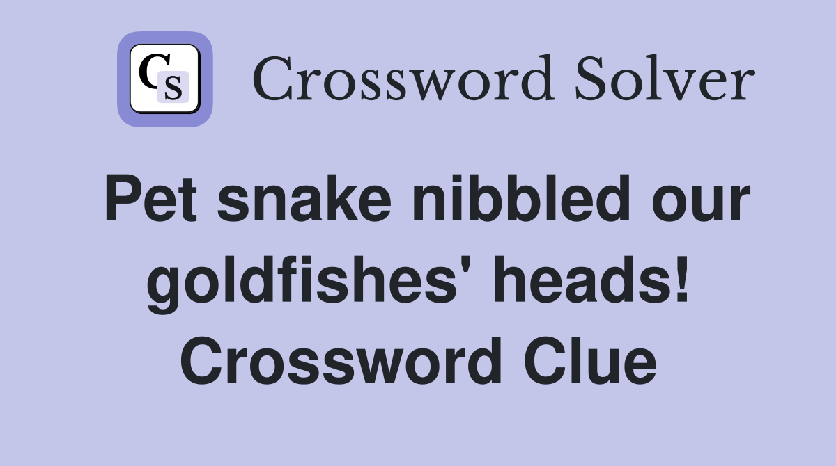 Pet snake nibbled our goldfishes' heads! Crossword Clue