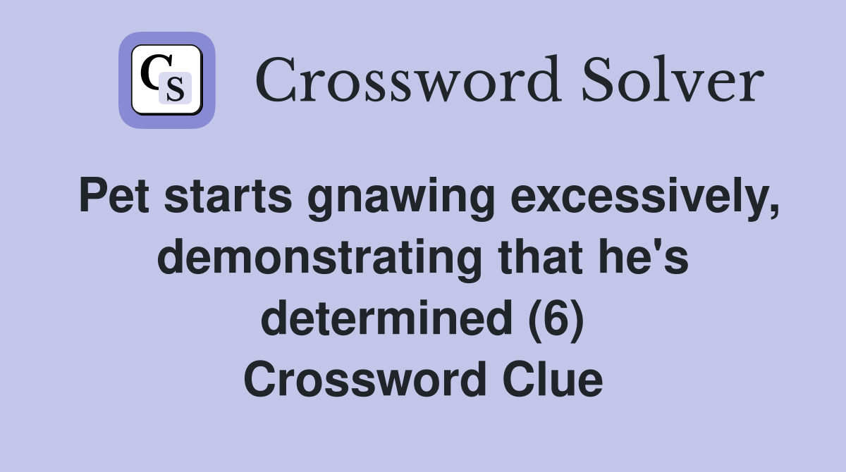 Pet starts gnawing excessively, demonstrating that he's determined (6) Crossword Clue